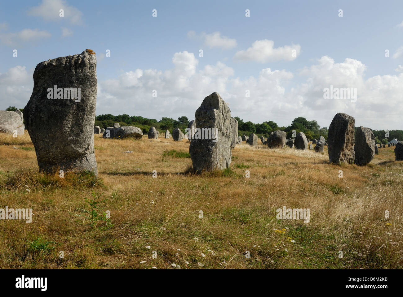 Carnac Bretagna Francia righe di menhir o pietre permanente presso il sito megalitico di Menec Foto Stock