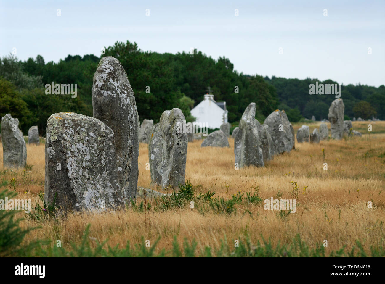 Carnac Bretagna Francia righe di menhir o pietre permanente presso il sito megalitico di Menec Foto Stock