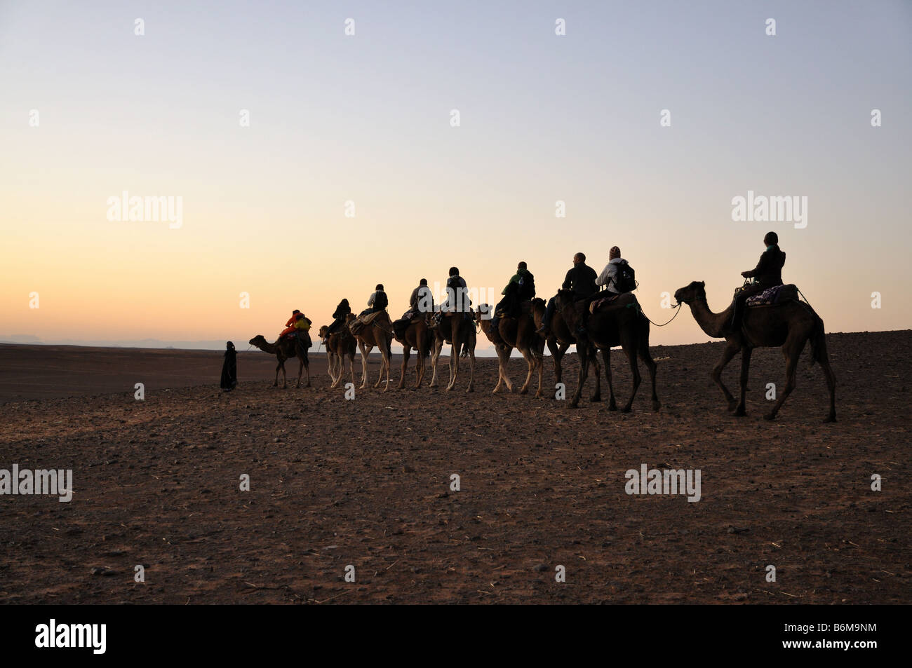 Viaggio in cammello nel deserto del Sahara Merzouga, Marocco, Africa del nord Foto Stock