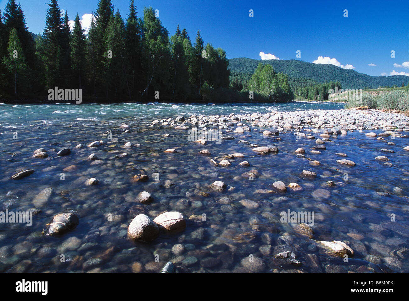 Le chiare acque del fiume Hemu in Kanas National Park nello Xinjiang, Cina Foto Stock