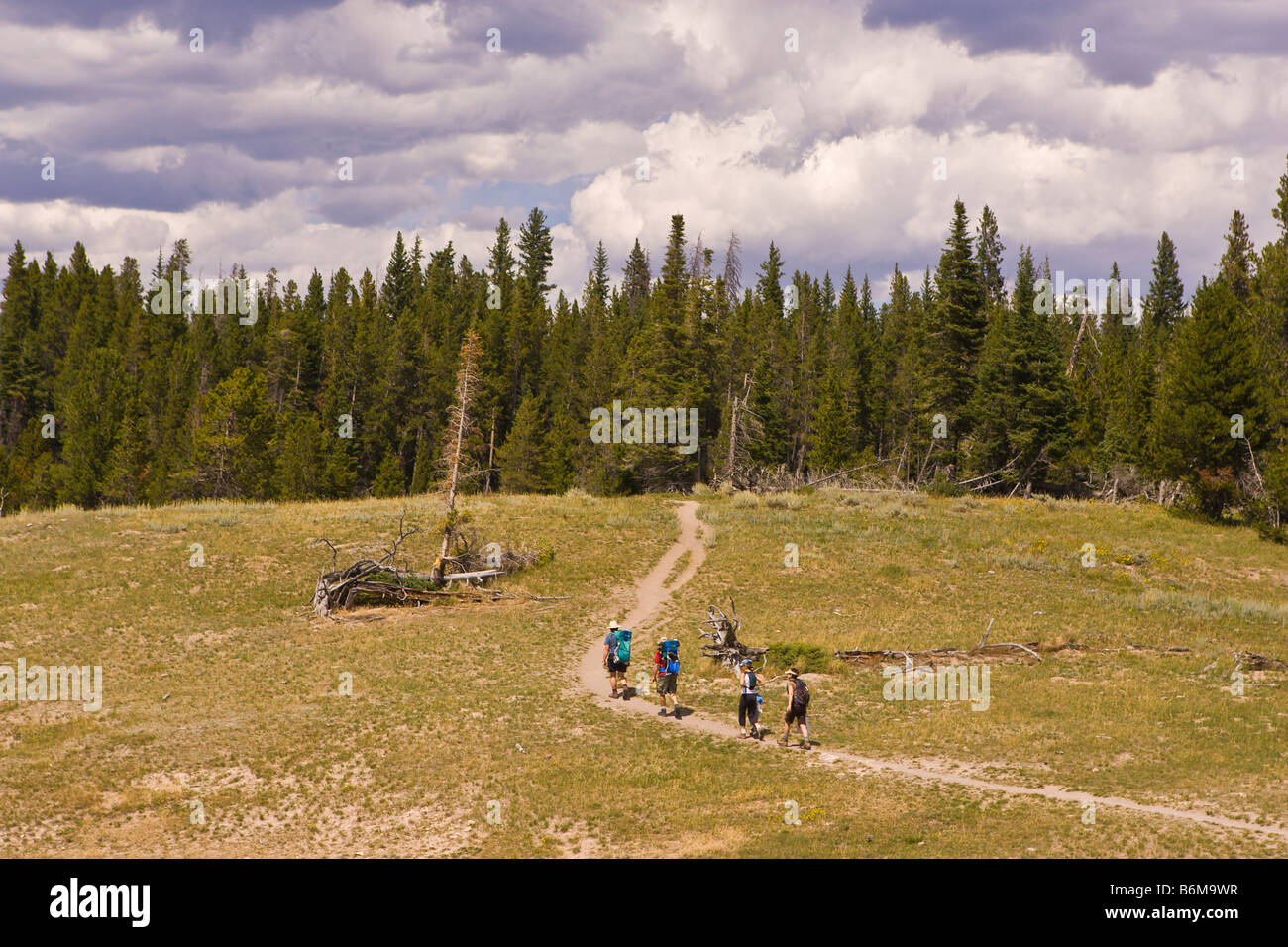 Parco Nazionale di Yellowstone WYOMING USA - escursionisti sul sentiero Foto Stock
