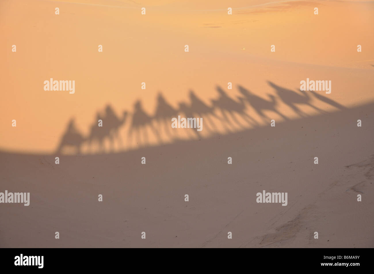 Ombre di cammelli nel deserto del Sahara Merzouga, Marocco Foto Stock