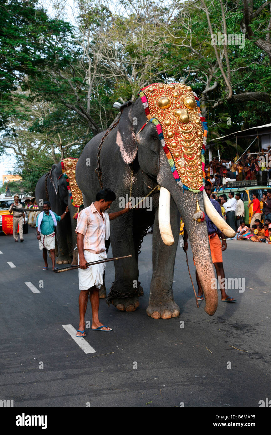Processione di elefanti in Kerala durante il festival di Onam Foto Stock