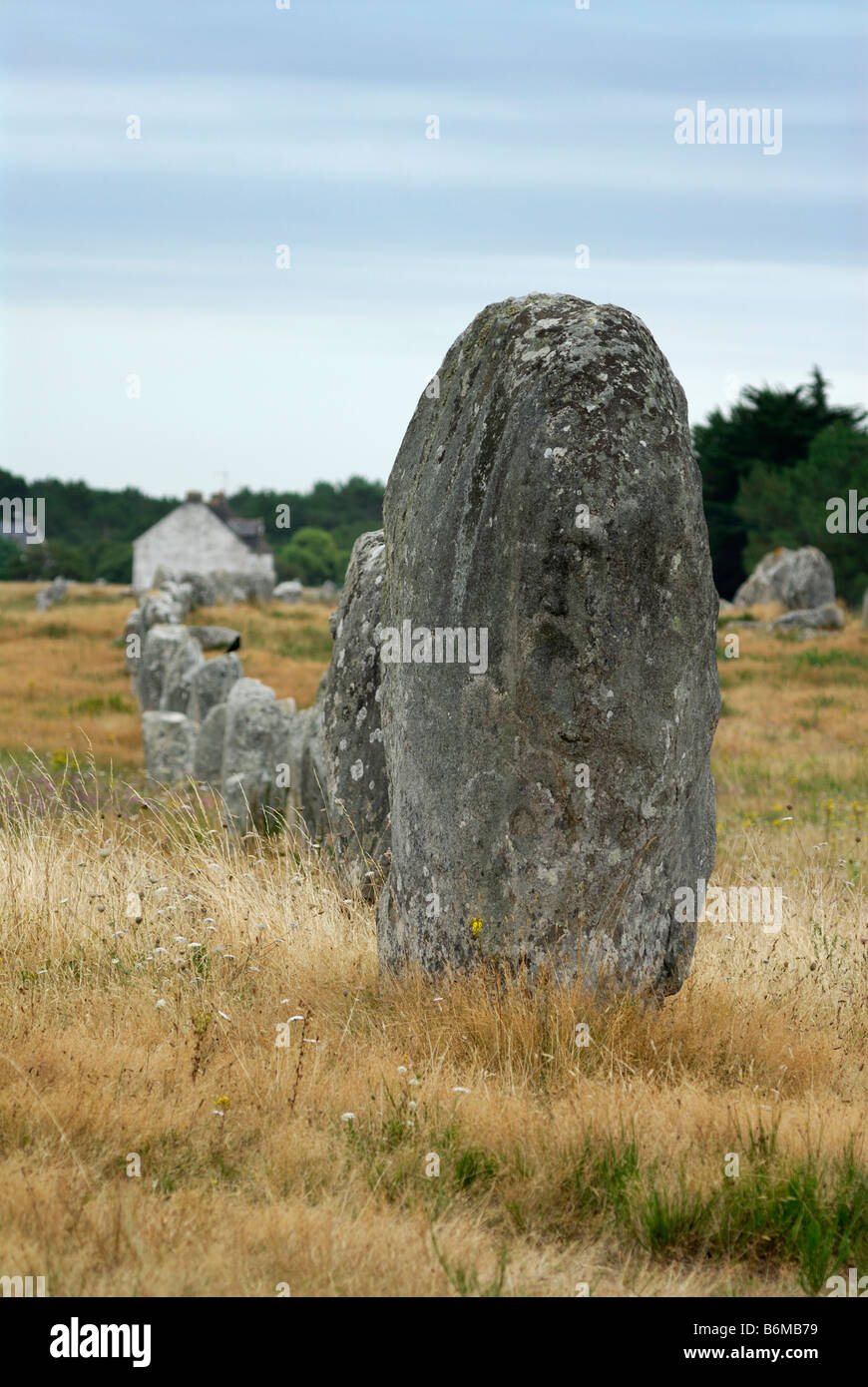 Carnac Bretagna Francia righe di menhir o pietre permanente presso il sito megalitico di Menec Foto Stock