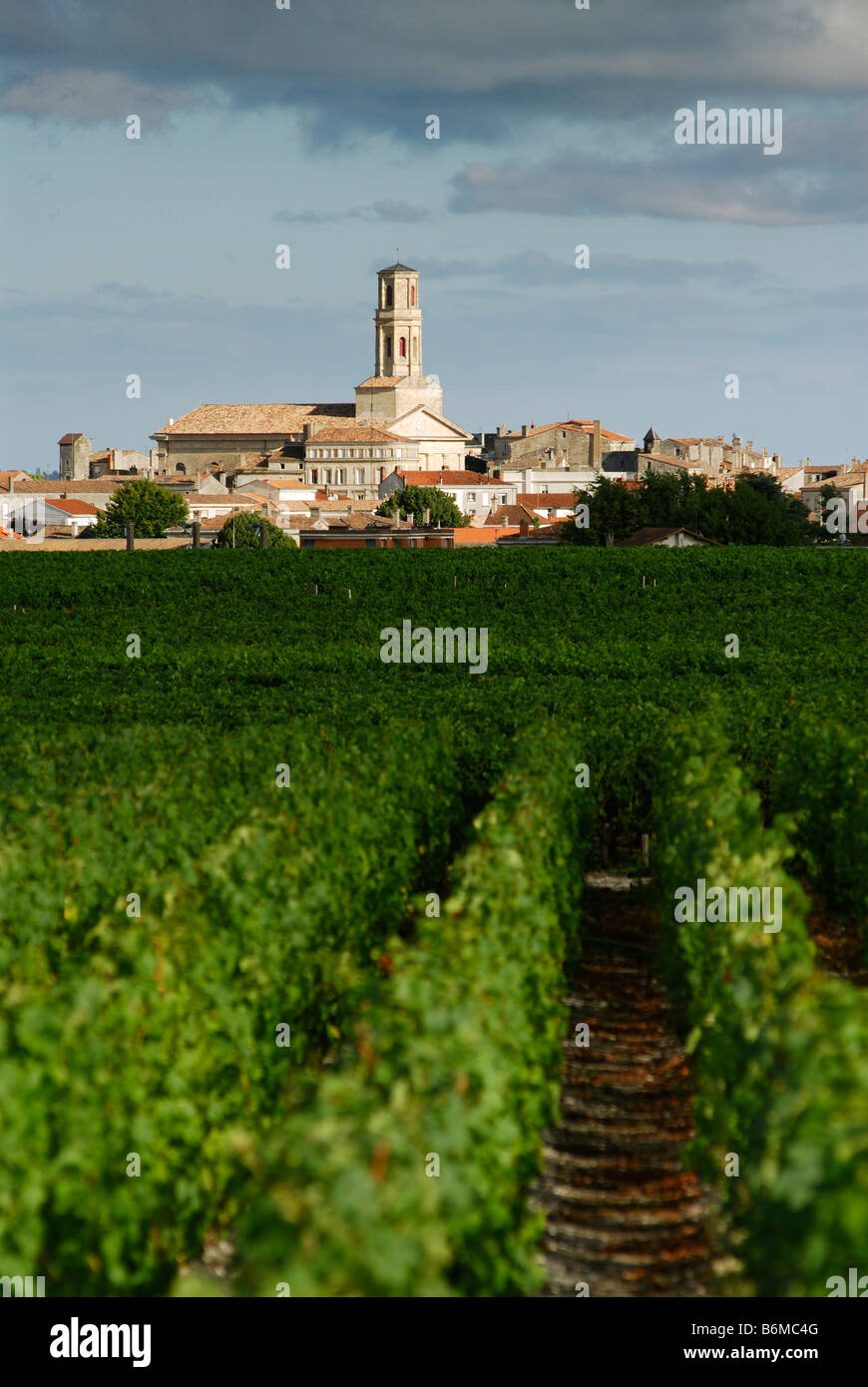 Pauillac Francia vigneti che crescono sul bordo della città di Pauillac Foto Stock