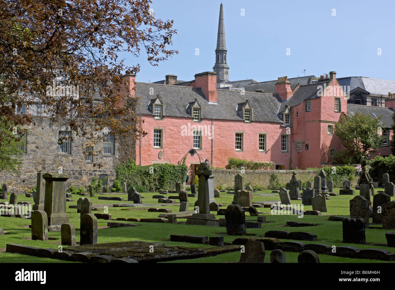 Abbot House rosa da Dunfermline Abbey Dunfermline Fife Scozia Maggio 2008 Foto Stock