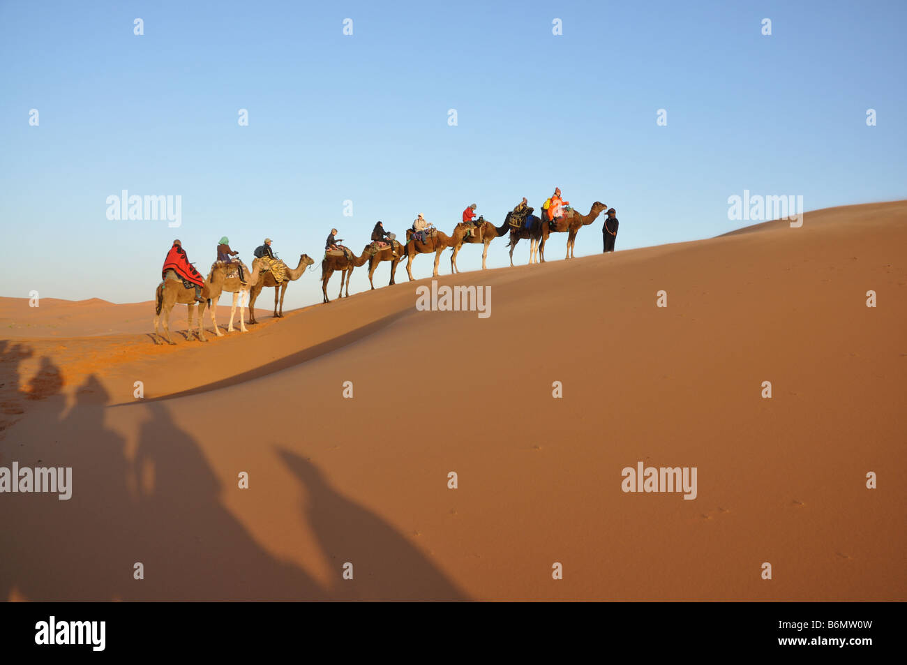 Viaggio in cammello nel deserto del Sahara Merzouga, Marocco, Africa del nord Foto Stock