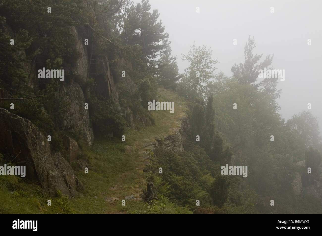 Stretto sentiero attraverso le montagne GR 10 Pirenei Francia Foto Stock