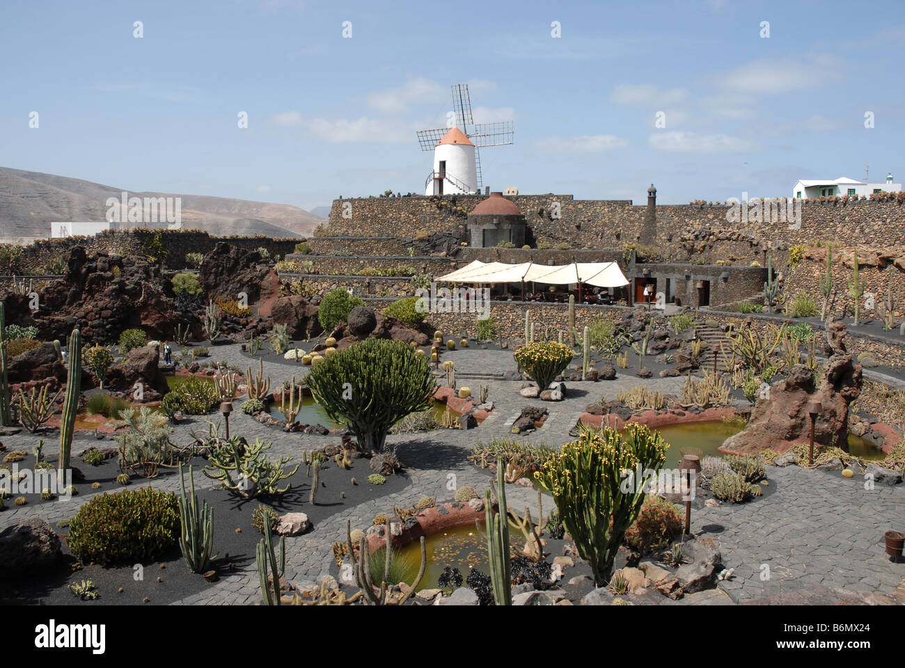 Jardin de Cactus, il Giardino dei Cactus vicino a Guatiza a Lanzarote. Progettato da artista Cesar Manrique . Foto Stock