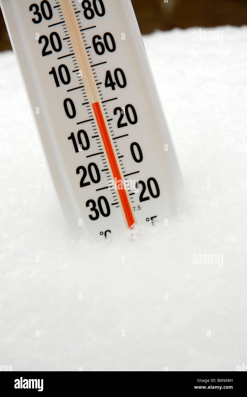 Il termometro nella neve Foto Stock