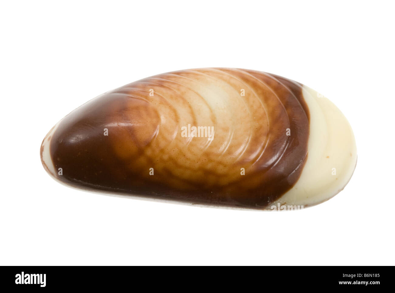 Deliziosi frutti belga de mer cioccolato Foto Stock