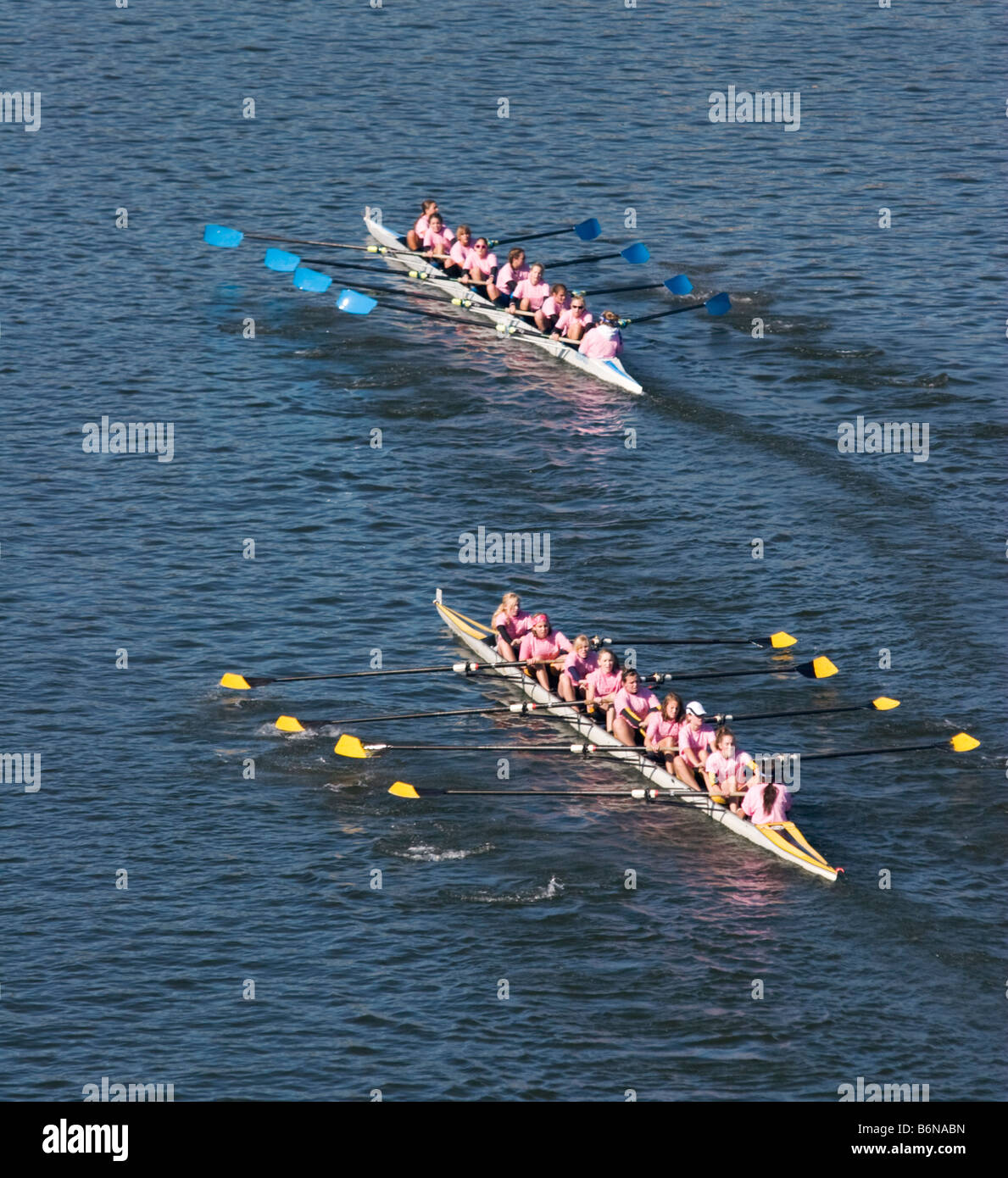 Donne scullers racing sul fiume Tennessee a Chattanooga Foto Stock