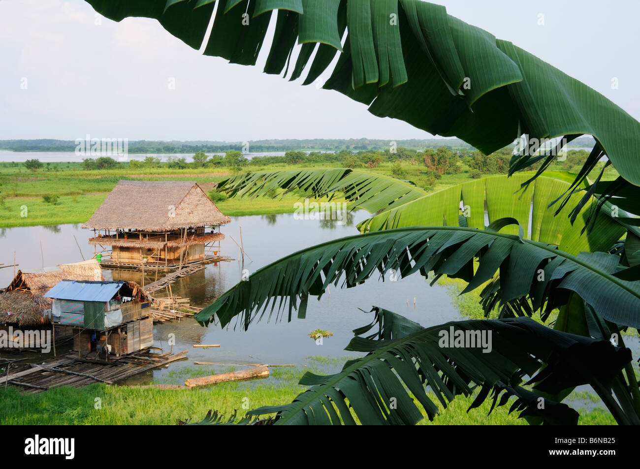 Le case galleggianti su Amazon floodplain visto attraverso le foglie di un albero di banana a Iquitos, Perù. Foto Stock