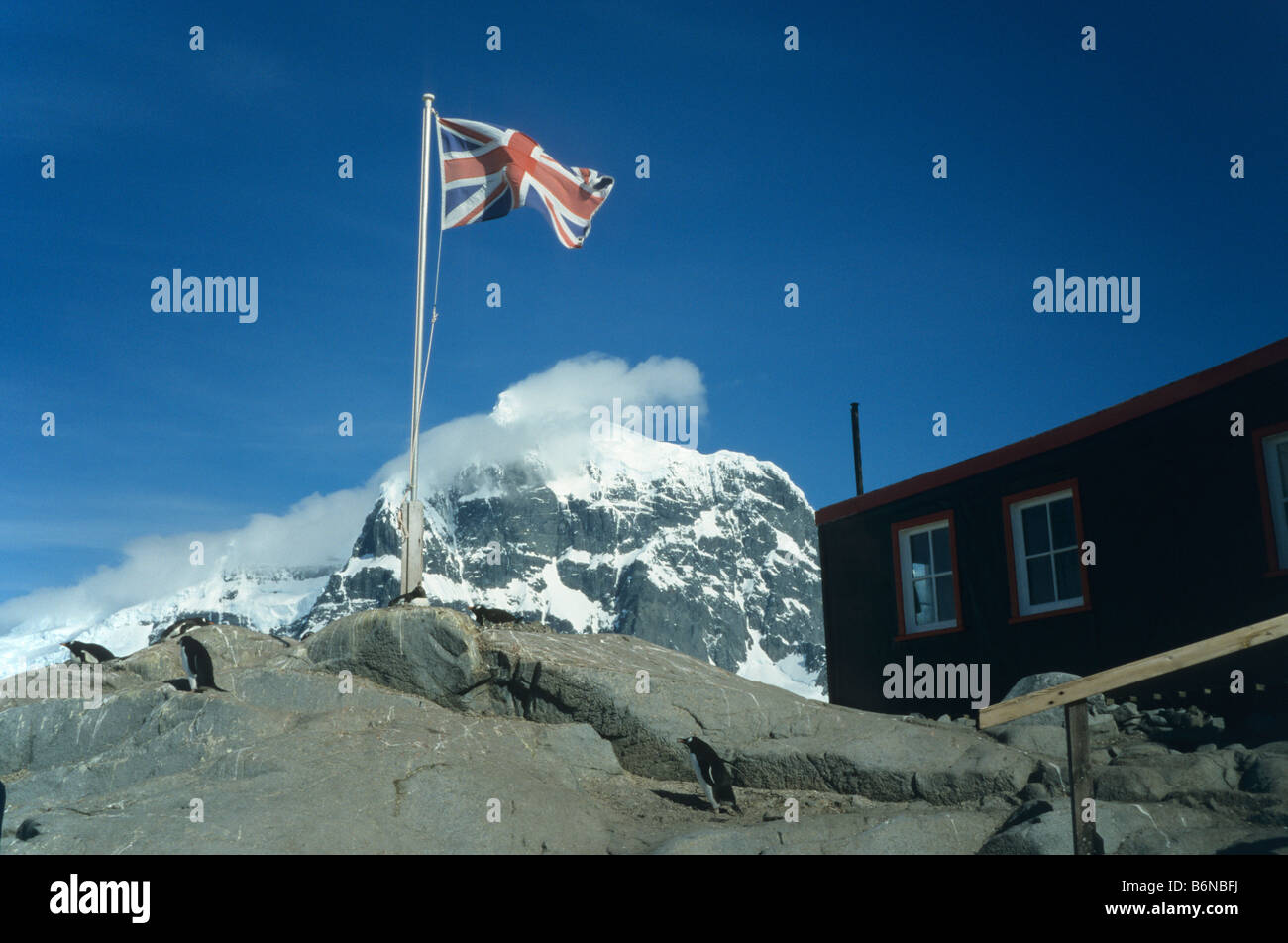 L'Unione Jack al di fuori dell'ex British science base a Port Lockroy, Antartico peninsulare con i pinguini di fronte. Foto Stock