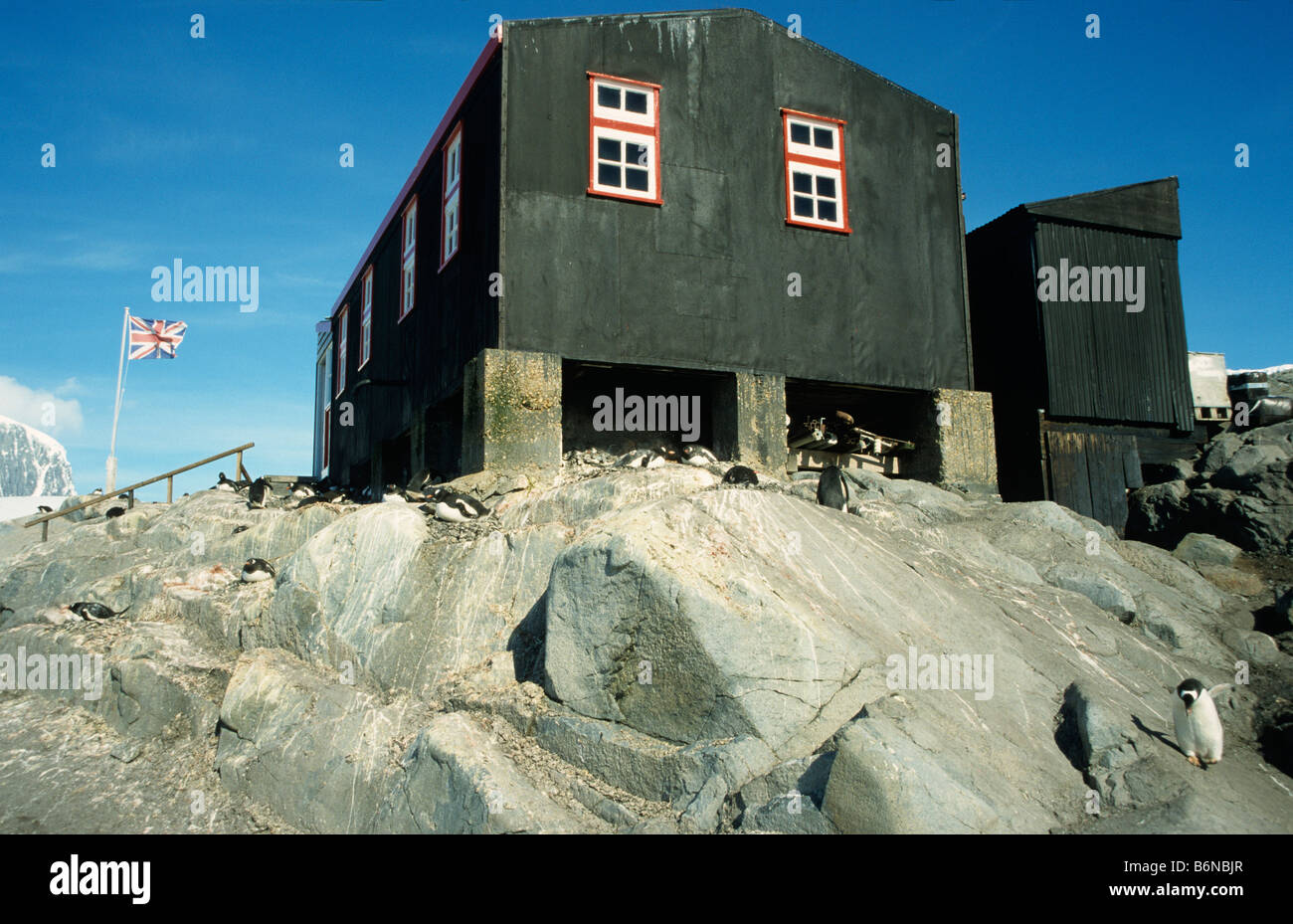 L'ex British science base a Port Lockroy, Antartico peninsulare con pinguini Gentoo e l'Unione jack sul retro Foto Stock