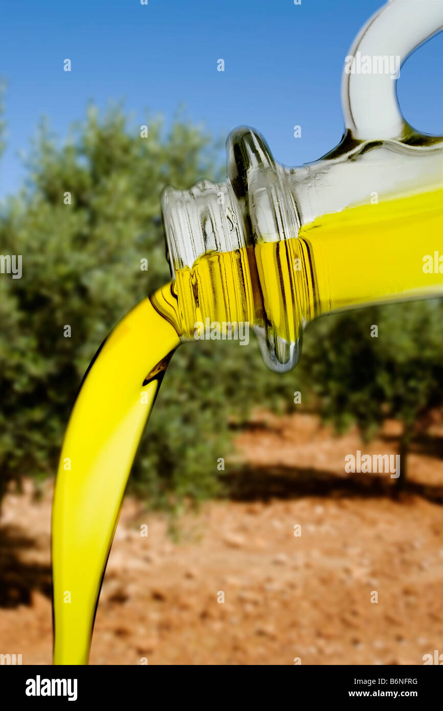 Botella de aceite de oliva extra vergine bottiglia di olio extra vergine di oliva Foto Stock