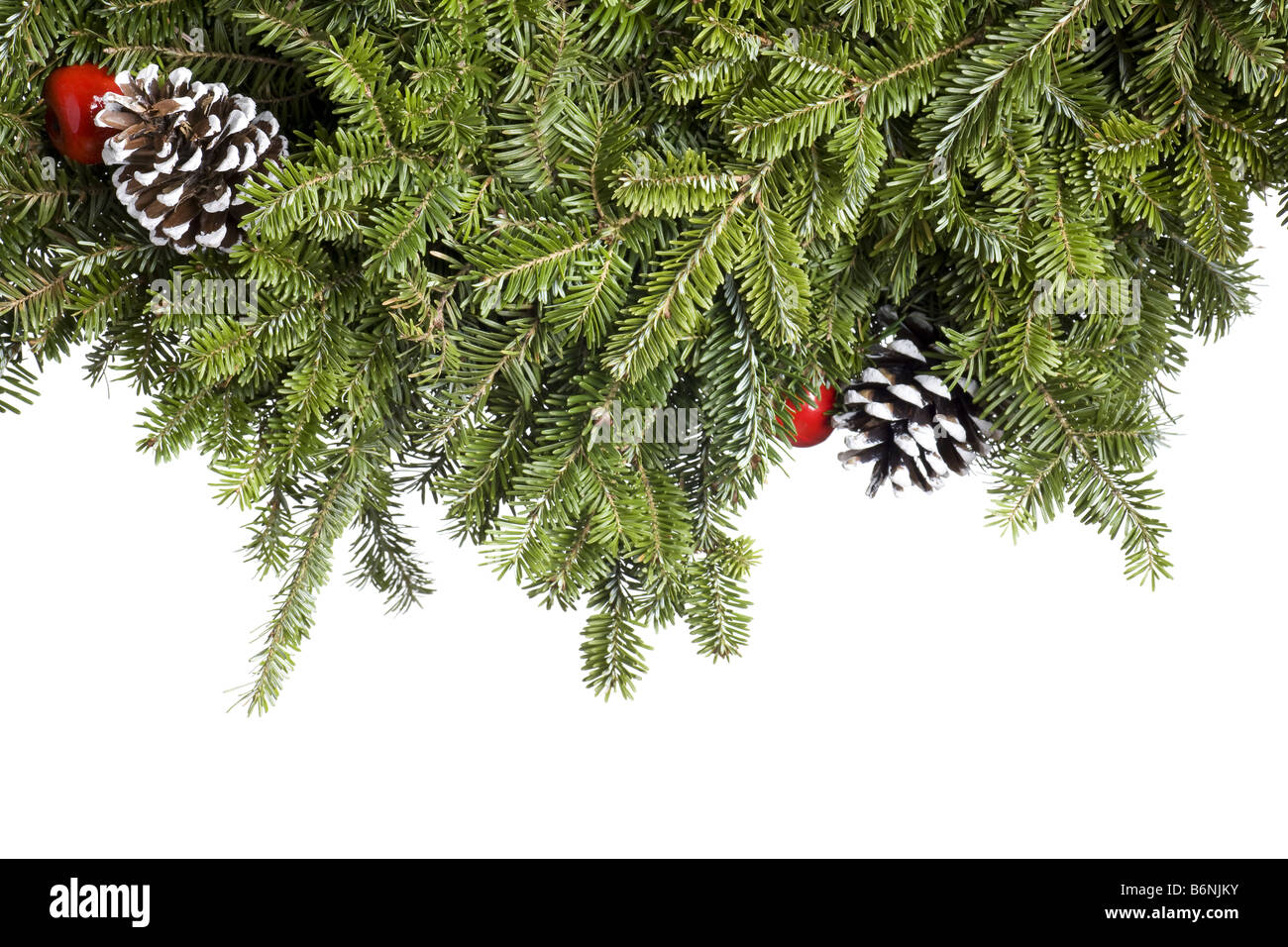 Natale decorazione Evergreen isolati su sfondo bianco Foto Stock