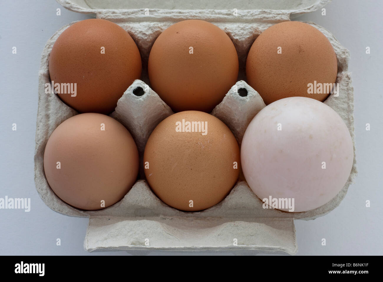 Cinque uova di gallina, uova di anatra Foto Stock