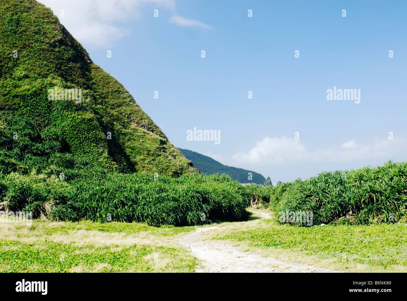 Taiwan, verde isola sabbiosa di Scenic percorso escursionistico Foto Stock