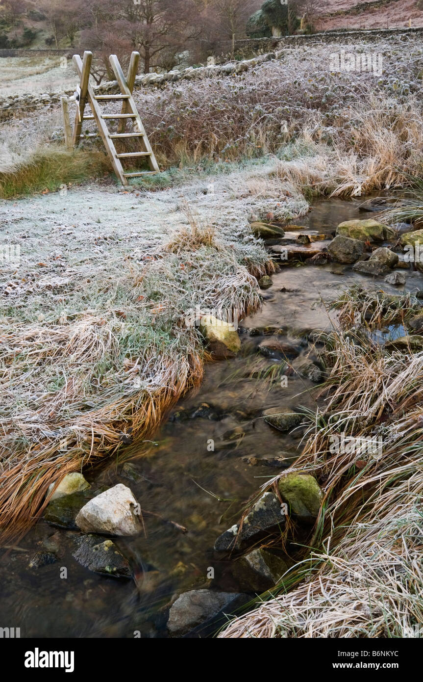 Frosty scena invernale Foto Stock