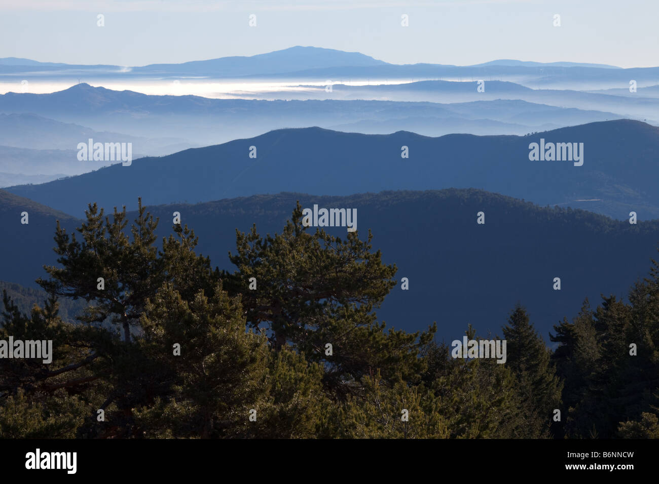 Strati di montagna con alberi in primo piano Foto Stock