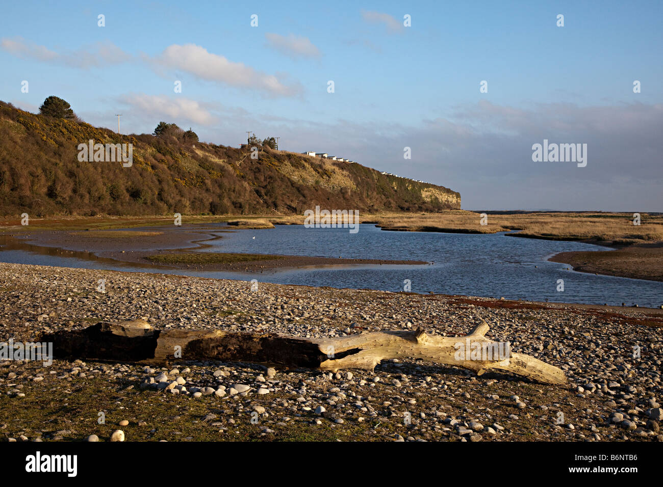 Laguna salina a East Aberthaw riserva naturale Wales UK Foto Stock