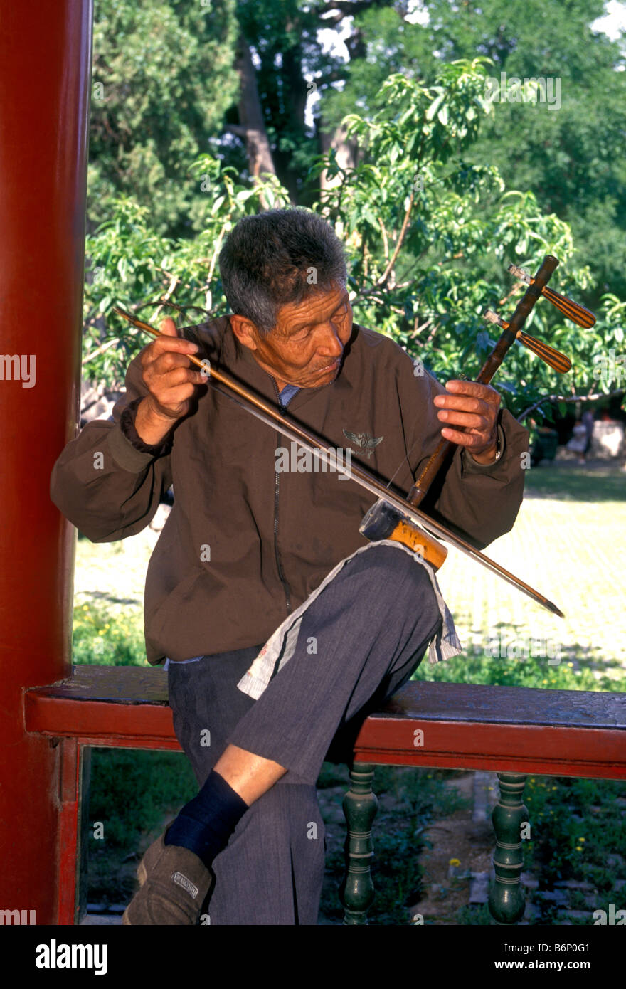 1, uno uomo cinese, musicista cinese giocando erhu, erhu, due corde dello strumento musicale, violino, Fiddler, Pechino, Municipalità di Pechino, Cina Foto Stock