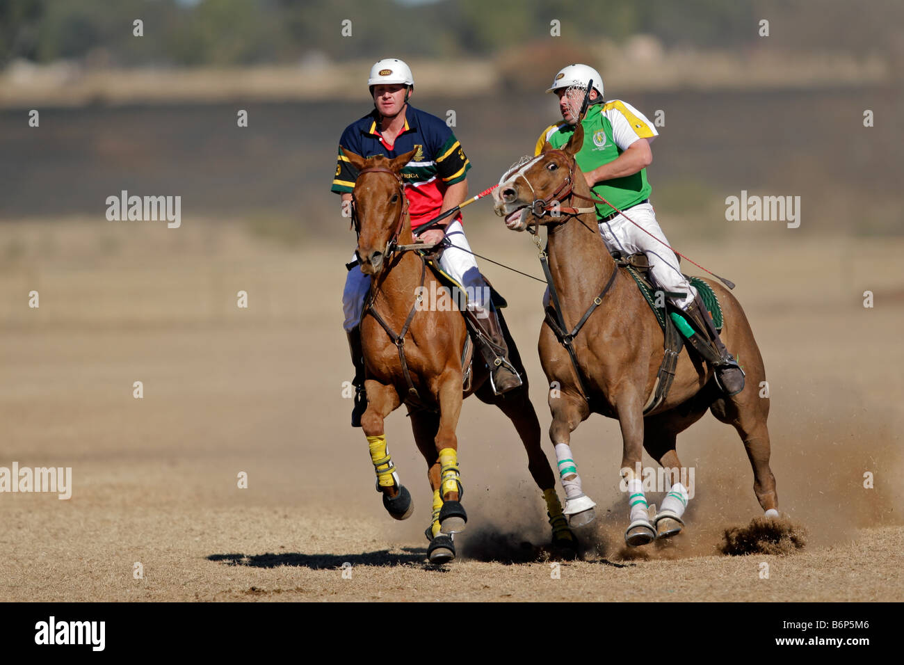 Polocrosse internazionale (uomini squadra), il Sud Africa contro l'Irlanda, 23 luglio 2006, Bloemfontein, Sud Africa Foto Stock