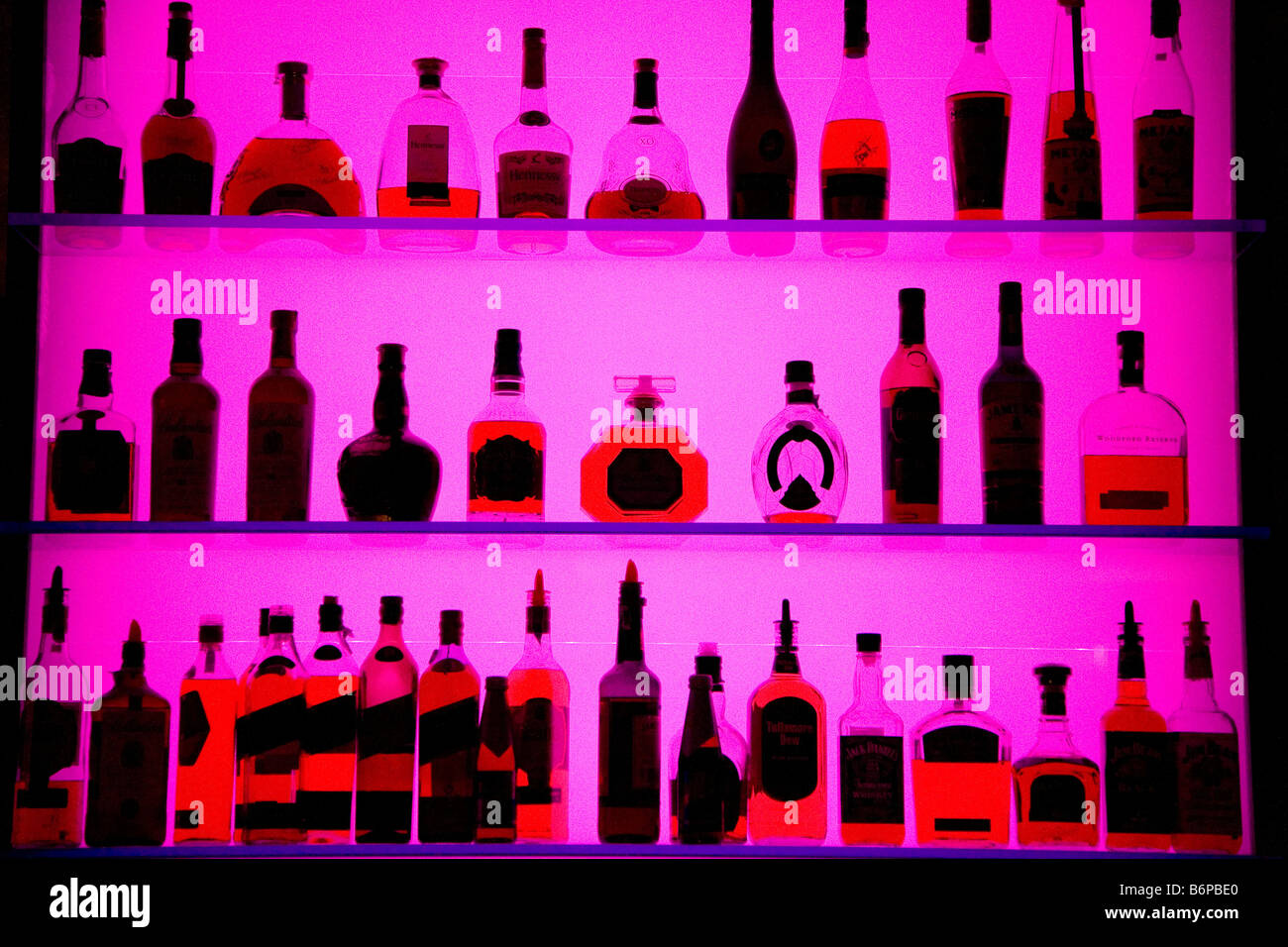 La Polonia Sopot Polska Europa Centrale UE bottiglie i drink al bar pub club clubbing fun ripiani Rosa Mar Baltico Tricity Pomerania travel Foto Stock