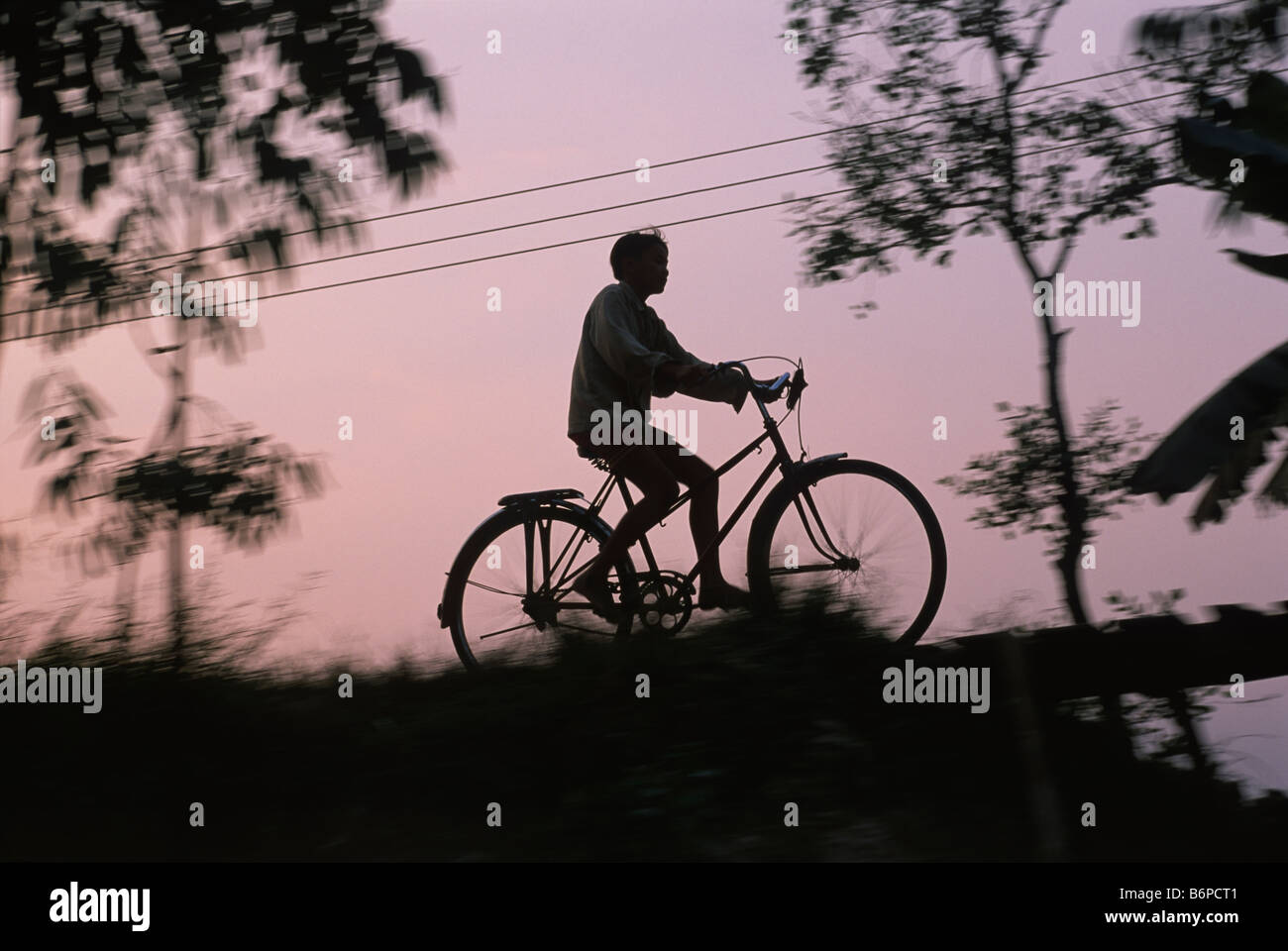 Vietnam, Delta del Mekong, bicicletta Foto Stock