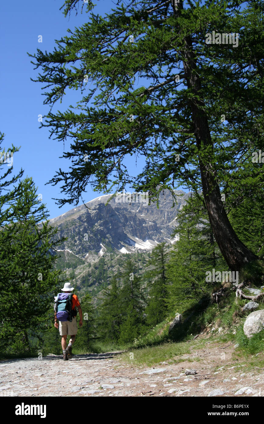 Walker nel Parco Nazionale del Mercantour Francia Alpes Maritimes Foto Stock