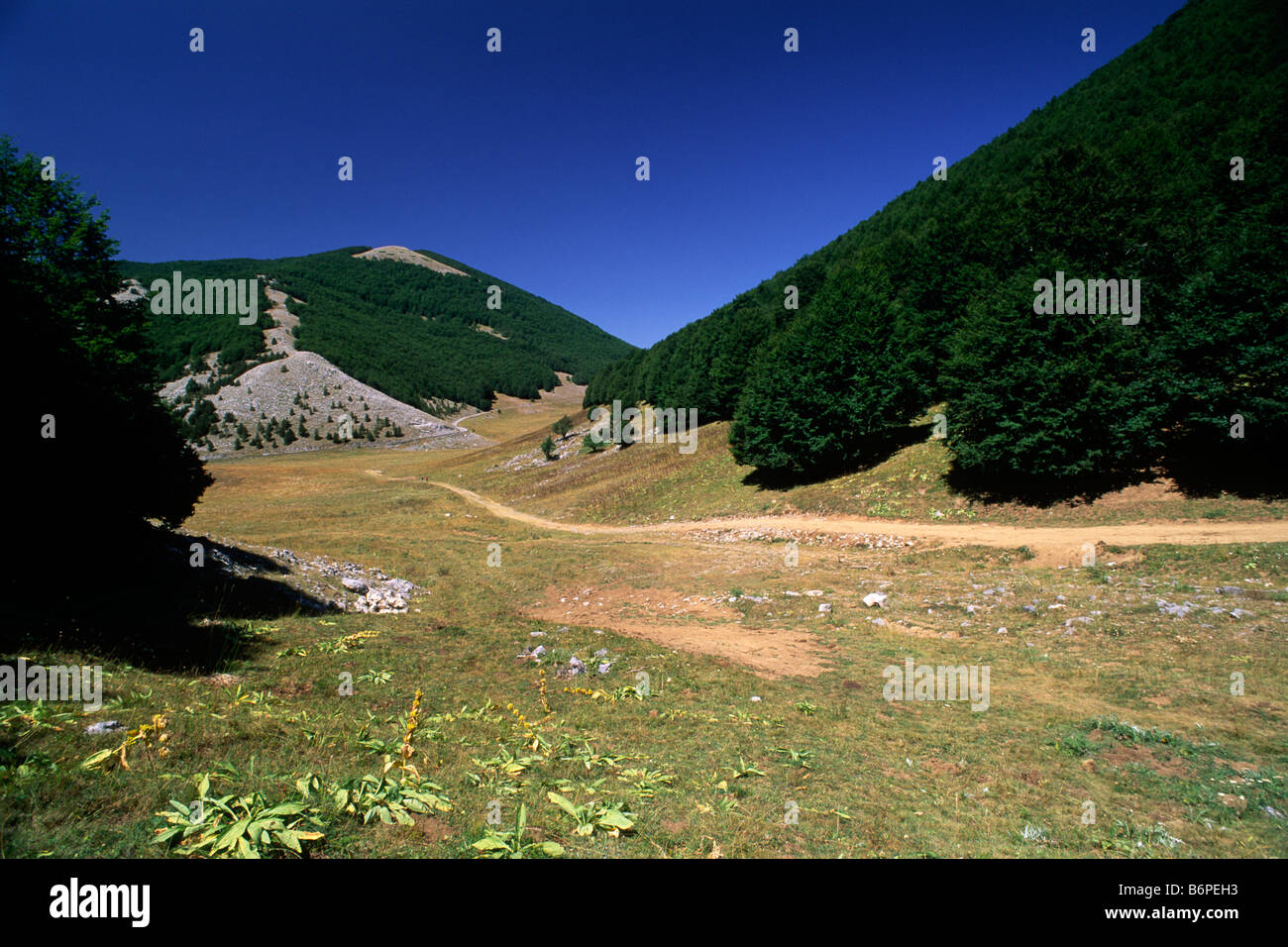 Italia, Basilicata, Parco Nazionale del Pollino, piano Ruggio Foto Stock