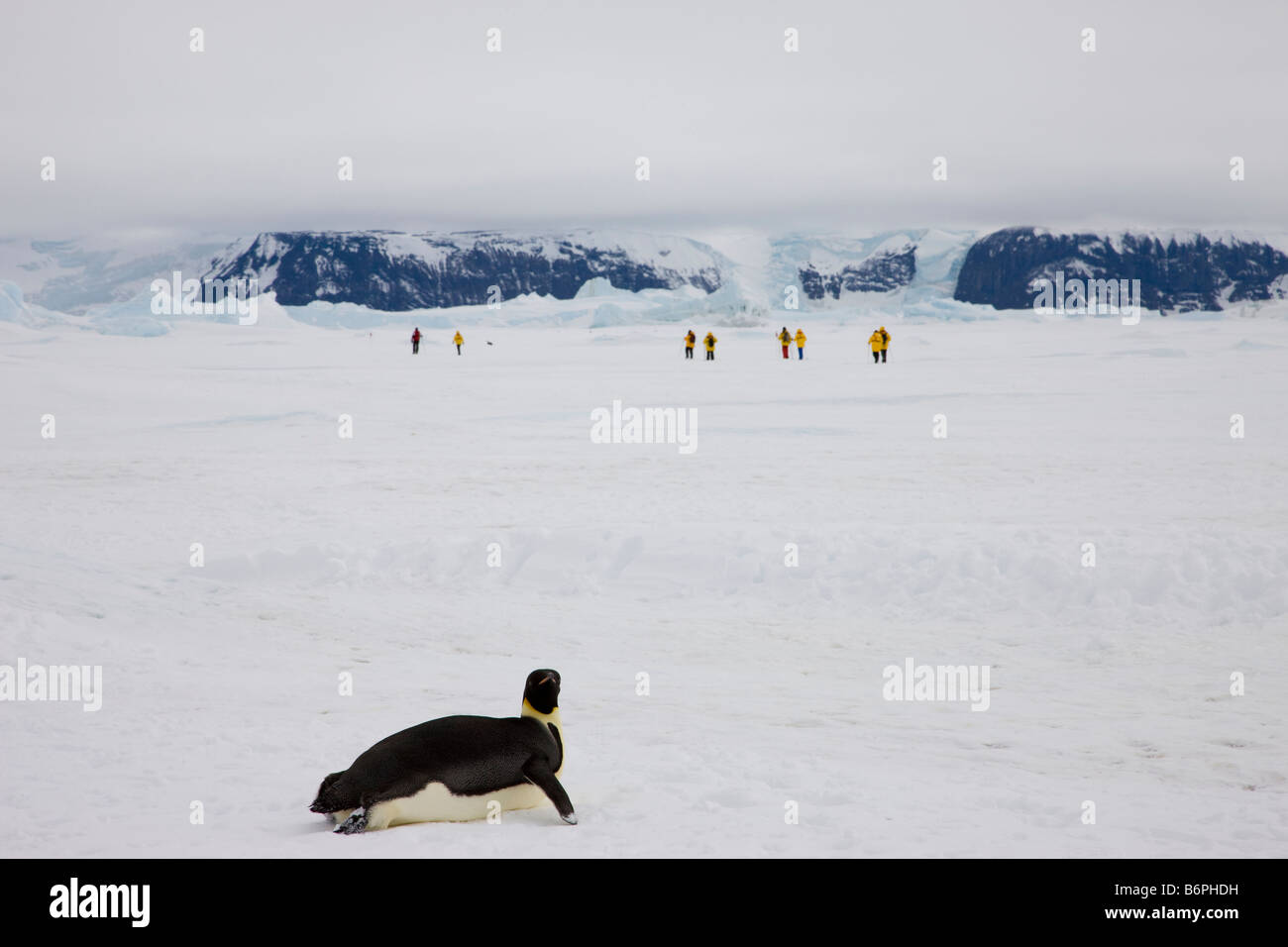 1 pinguino imperatore orologi distanti escursionisti ecoturistico esplorare veloce ghiacciaio ghiaccio snow landscape Mare di Weddell Antartide unica esperienza di vacanza Foto Stock