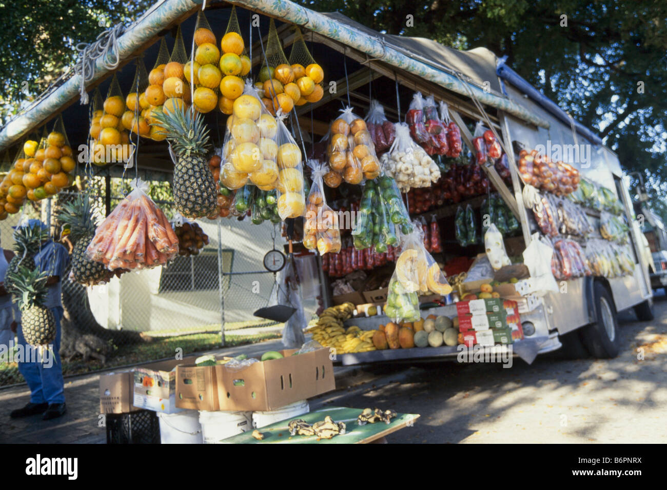 Fornitore di frutta, Little Havana Foto Stock