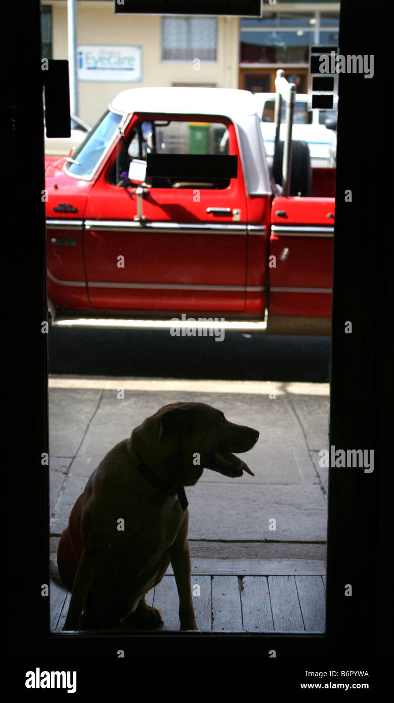 La silhouette di un cane si trova al di fuori di un negozio in un paese di campagna Foto Stock