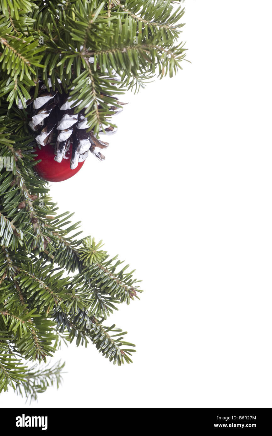 Natale decorazione Evergreen isolati su sfondo bianco Foto Stock
