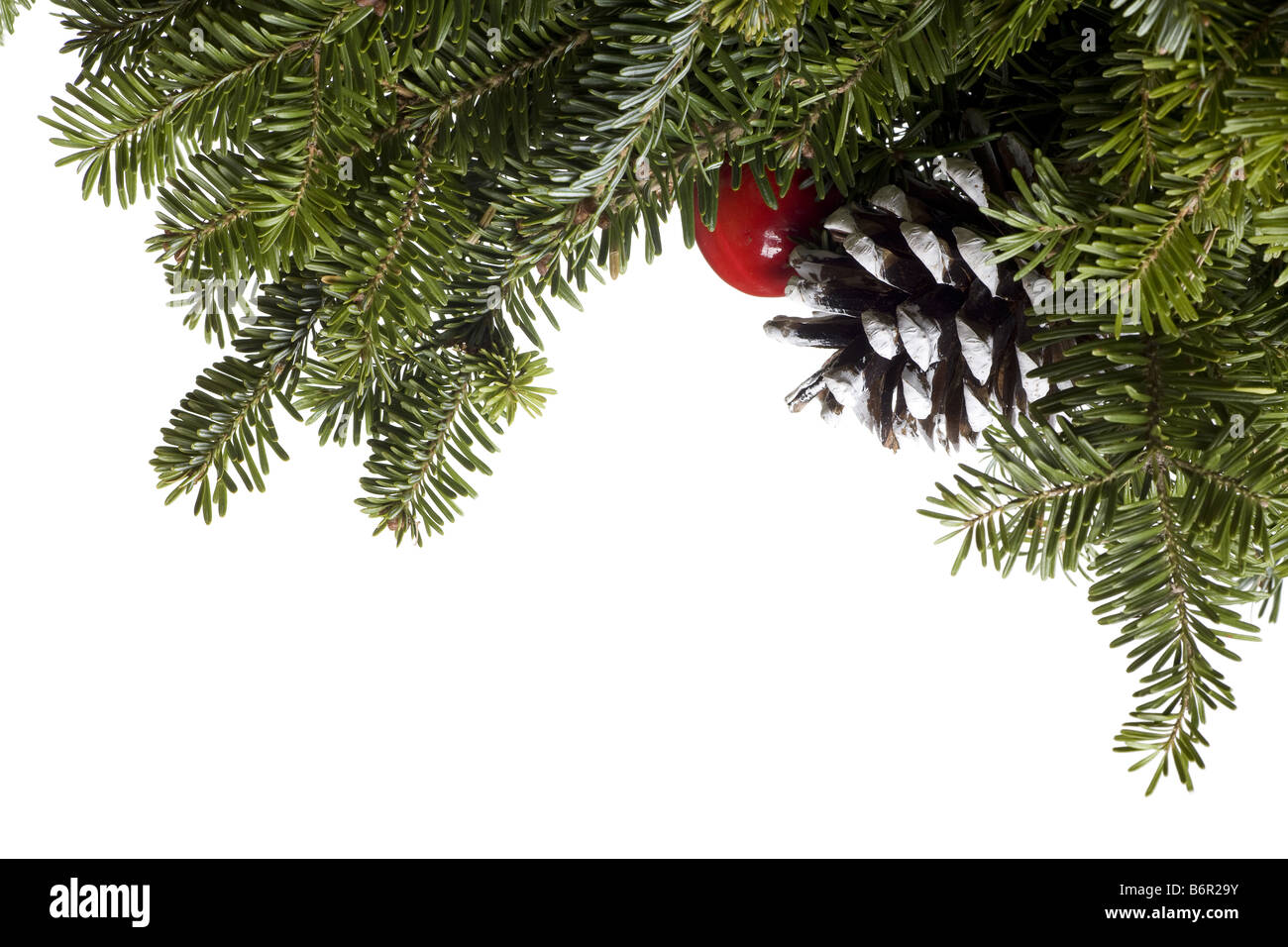 Natale decorazione Evergreen isolati su sfondo bianco Foto Stock
