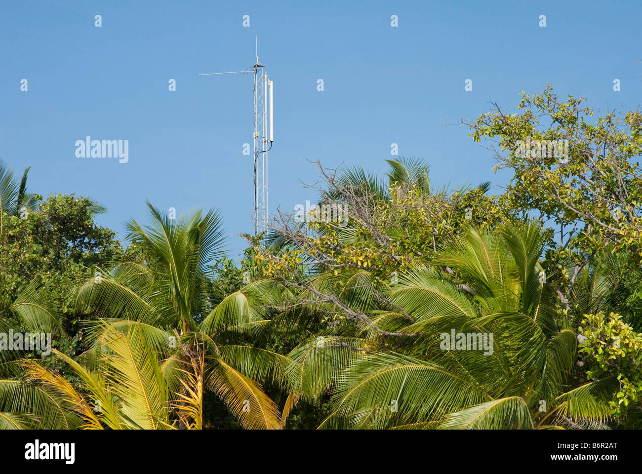 Telefono cellulare il montante che si eleva al di sopra vegitation tropicali delle Maldive Foto Stock