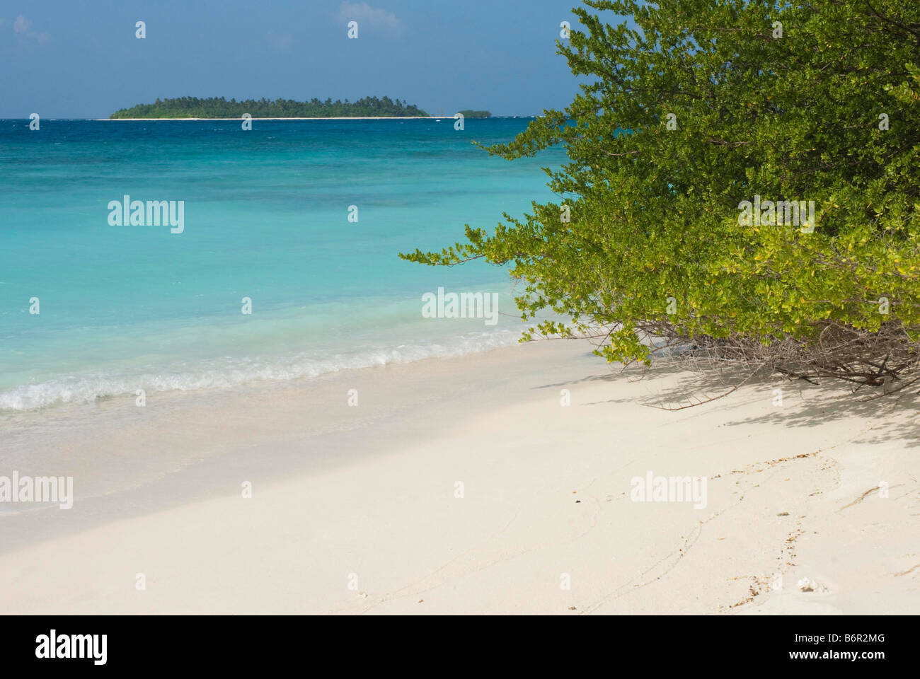 Spiaggia sabbiosa tropicale e isola delle Maldive. Foto Stock