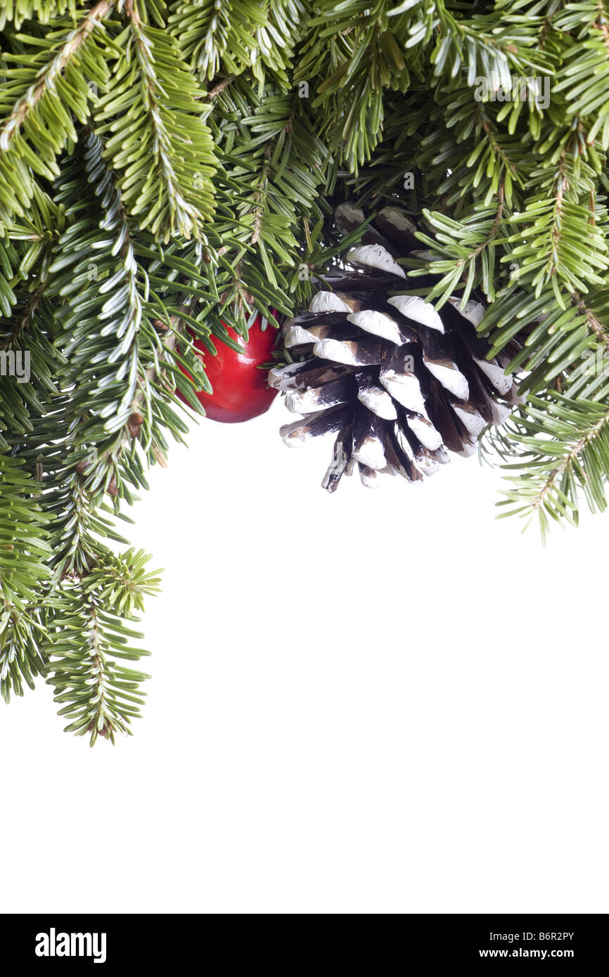 Natale decorazione Evergreen isolati su sfondo bianco Foto Stock