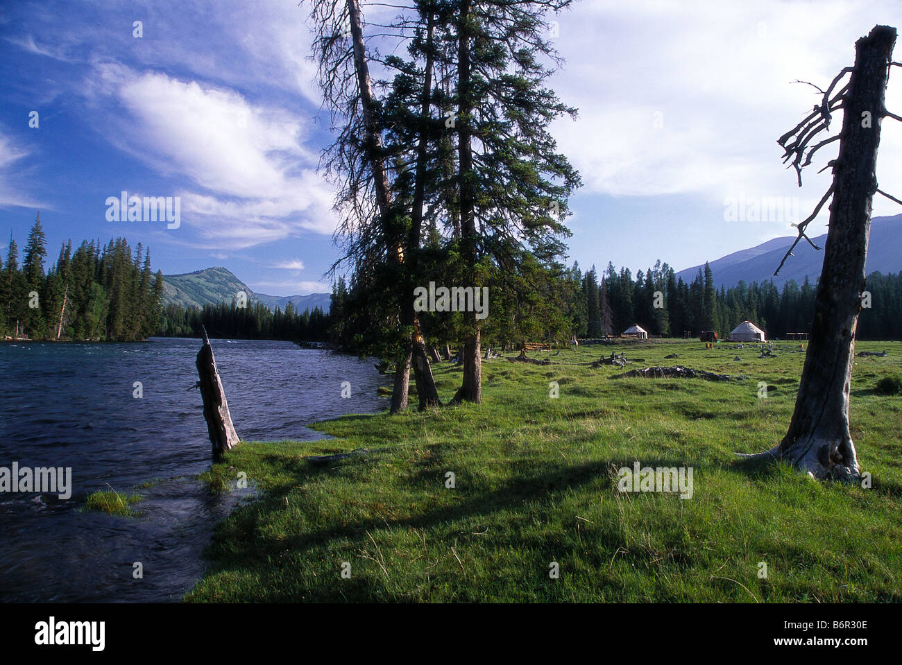 Fiume Kanas orlata da foreste di abeti in Kanas Parco Nazionale degli Altai, montagne, Xinjiang, Cina Foto Stock