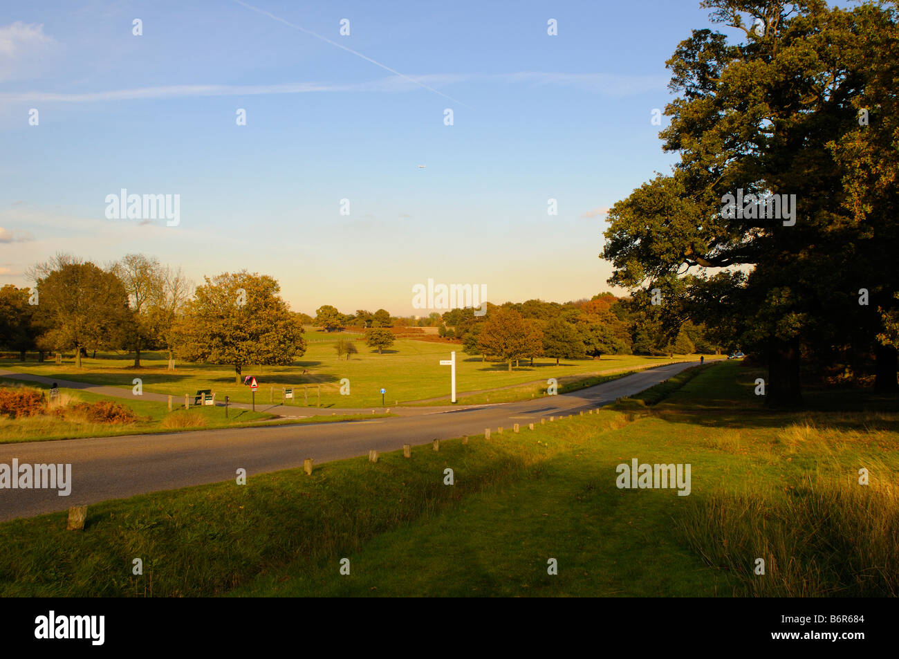 Strada attraversando il Parco di Richmond London REGNO UNITO Foto Stock