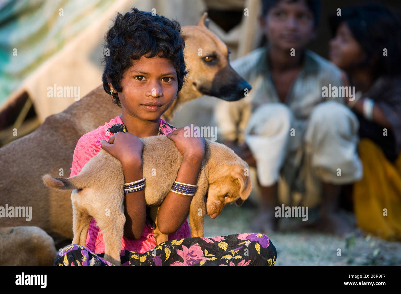 Poveri nomadi ragazza indiana giocando con il suo cucciolo di cane fuori tenda nella luce del sole di mattina. Andhra Pradesh, India. Messa a fuoco selettiva Foto Stock