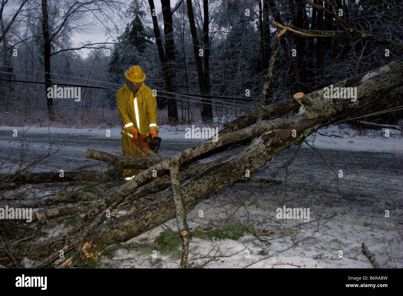 Utility tagli dei lavoratori attraverso un albero caduto sulla linea di potenza su strada Foto Stock