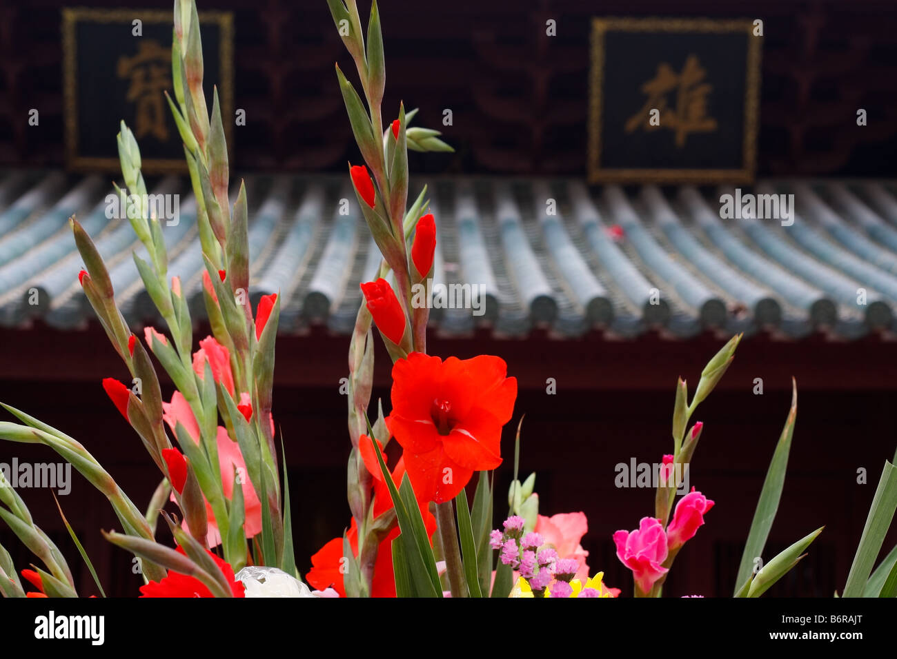 Un bellissimo display di fiori in un cortile del tempio a Guangzhou in Cina Foto Stock