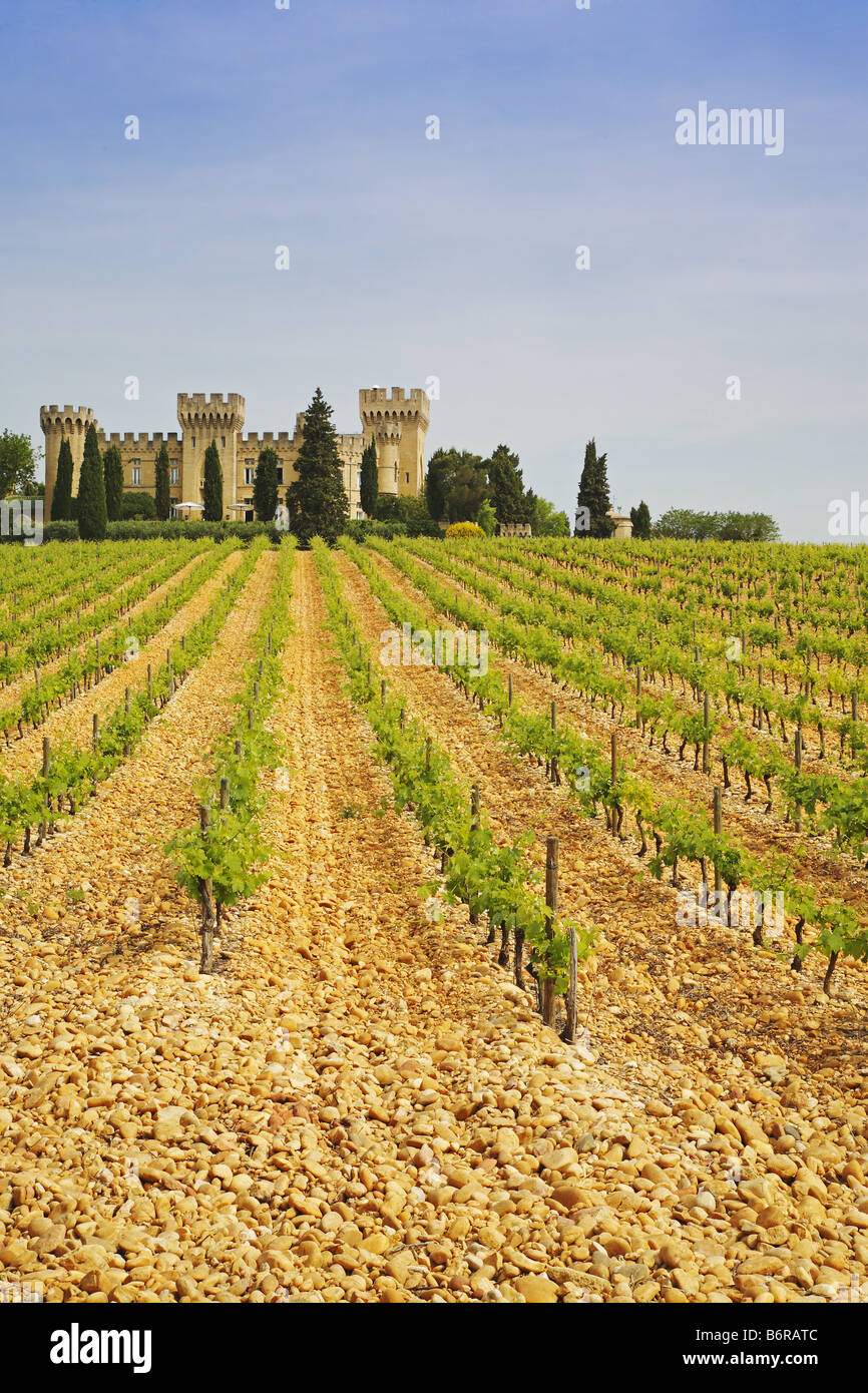 Châteauneuf-du-Pape vigneti e castello, Rhône regione vinicola, Francia Foto Stock