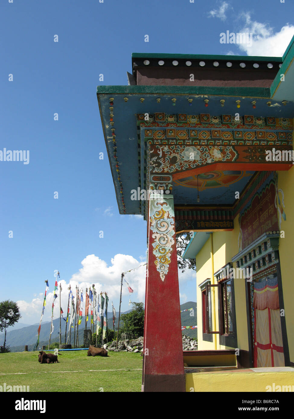 Le vacche e le bandiere di preghiera presso il convento di Nagi Gompa, Shivapuri, valle di Kathmandu, Bagmati, Himalaya, Nepal, Asia centrale Foto Stock