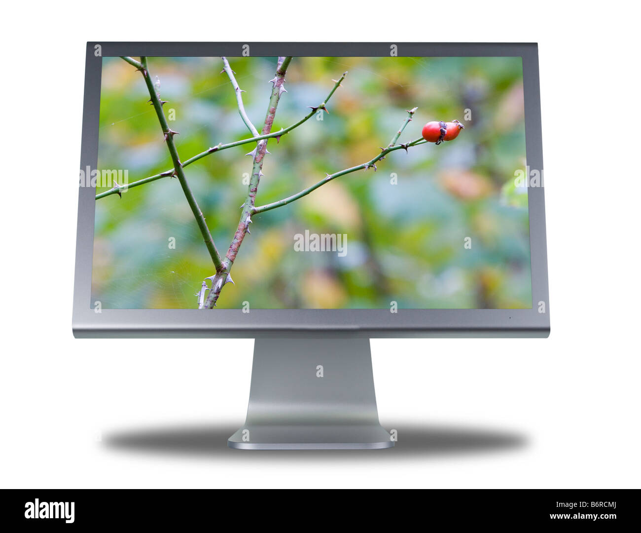 Il computer o il display LCD TFT monitor a schermo piatto Foto Stock