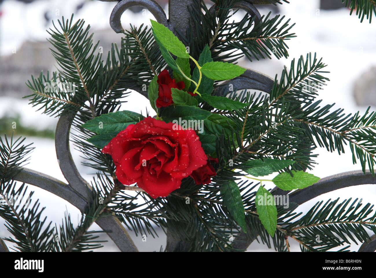 Memorial croce con una rosa rossa al cimitero di Mayrhofen Austria Europa Foto Stock