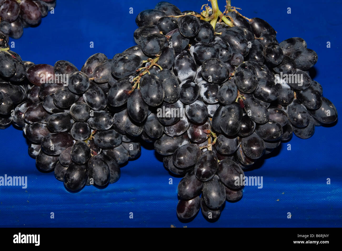 Vegetali locali di mercato Turchia Antalya Marché aux locale legumi Antalya Turquie Oertlicher Gemuese Markt Tuerkei Antalya Foto Stock